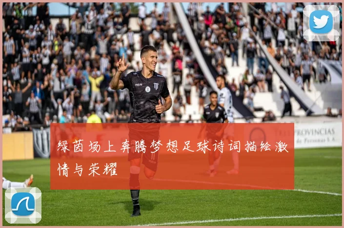 绿茵场上奔腾梦想足球诗词描绘激情与荣耀