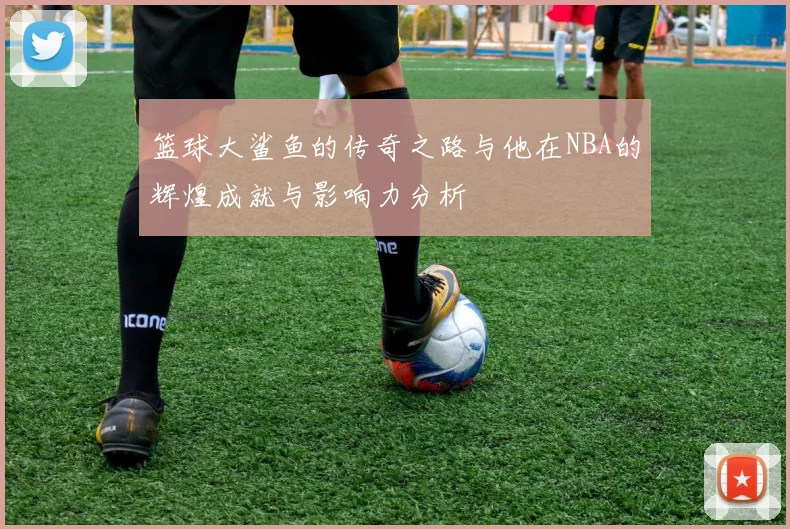 篮球大鲨鱼的传奇之路与他在NBA的辉煌成就与影响力分析