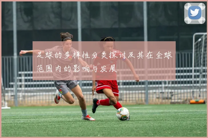 足球的多样性分类探讨及其在全球范围内的影响与发展