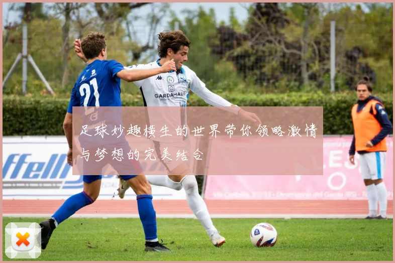 足球妙趣横生的世界带你领略激情与梦想的完美结合