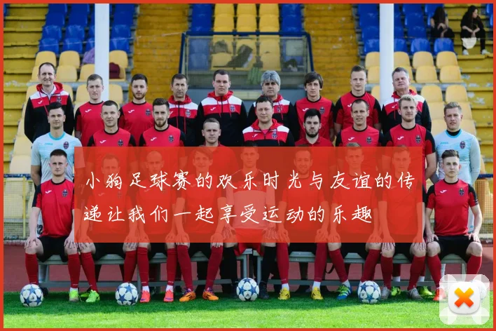 小狗足球赛的欢乐时光与友谊的传递让我们一起享受运动的乐趣